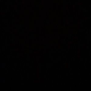 Meet your Posher, Chandler